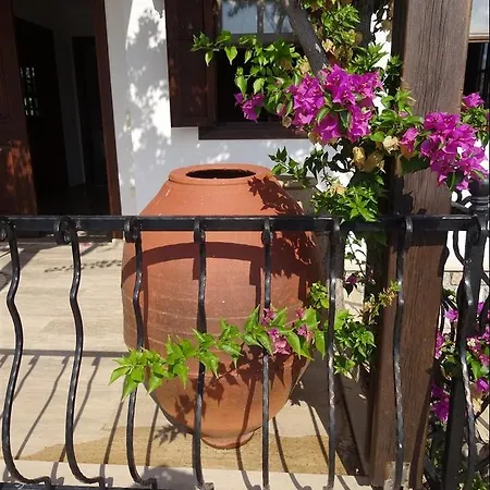 Villa Yasemin Ortaca (Mugla)